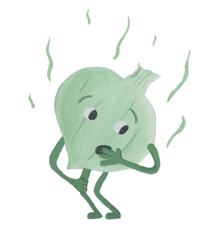 Onion Illustration by Hugs are Fun