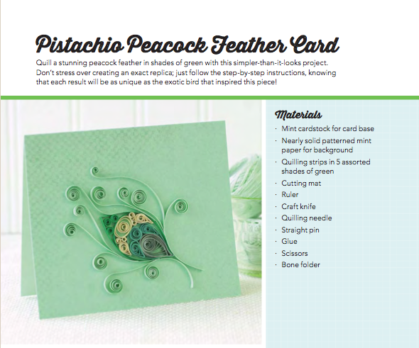 peacockfeather
