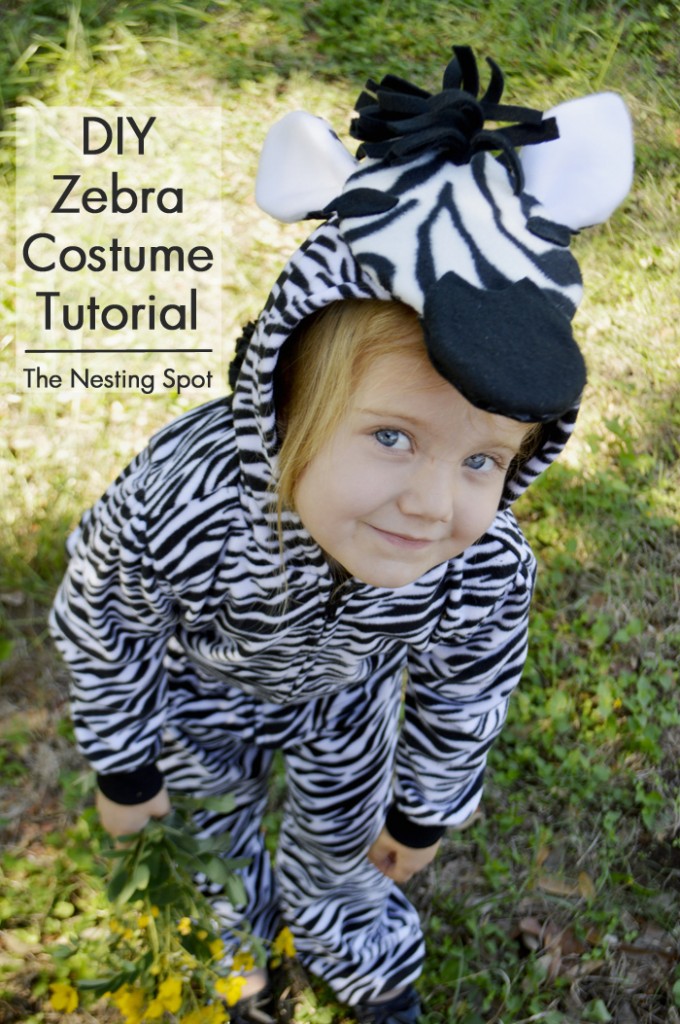 zebra-top-picture